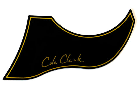 Pick Guard - AN & TL Series in Black