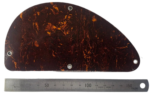Bass Controls Cover Plate